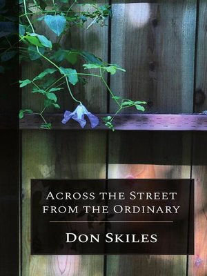 cover image of Across the Street From the Ordinary